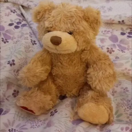 teddy photo